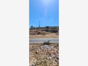 Terreno en Venta en Jaripeo Charo