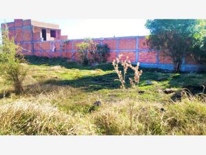 Terreno en Venta en Obrera Morelia