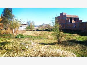 Terreno en Venta en Obrera Morelia