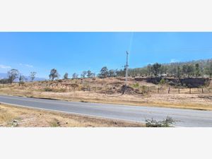 Terreno en Venta en Jaripeo Charo