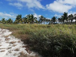 Terreno en Venta en Champoton Centro Champotón