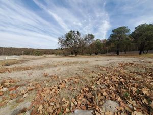 Terreno en Venta en Ciudad Bugambilia Zapopan