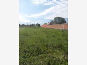 Terreno en Venta en San Bernardino Tlaxcalancingo San Andrés Cholula