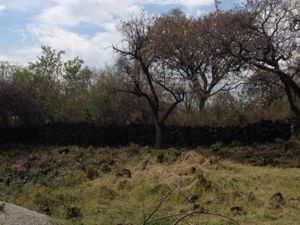 Terreno en Venta en Tepoztlan Centro Tepoztlán