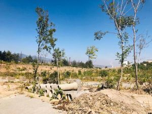 Terreno en Venta en Jesus del Monte Huixquilucan