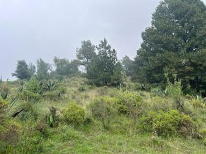 Terreno en Venta en Santa Cruz Ayotuxco Huixquilucan