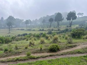 Terreno en Venta en Santa Cruz Ayotuxco Huixquilucan