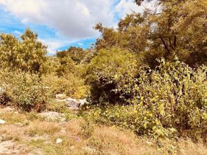 Terreno en Venta en Tecali de Herrera Tecali de Herrera