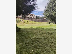 Terreno en Venta en Santo Tomas Ajusco Tlalpan