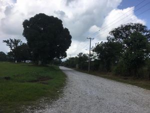 Terreno en Renta en Cacahuatal Amatlán de los Reyes