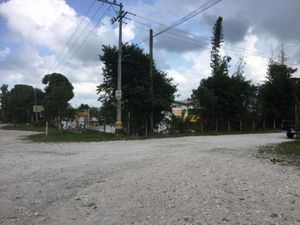 Terreno en Renta en Cacahuatal Amatlán de los Reyes