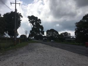 Terreno en Renta en Cacahuatal Amatlán de los Reyes