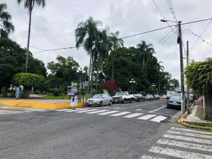 Terreno en Renta en Fortín de las Flores Centro Fortín