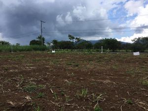 Terreno en Venta en Guadalupe Barreal Córdoba