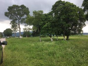 Terreno en Renta en Cacahuatal Amatlán de los Reyes