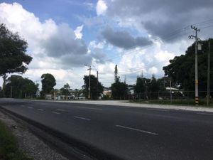 Terreno en Renta en Cacahuatal Amatlán de los Reyes