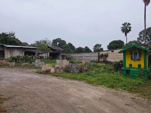 Terreno en Venta en Yanga Centro Yanga