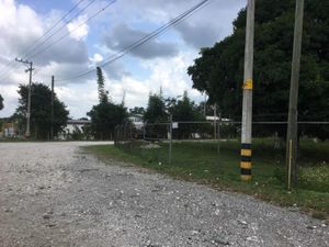 Terreno en Renta en Cacahuatal Amatlán de los Reyes