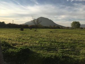 Terreno en Venta en Parque Industrial Ramos Arizpe Ramos Arizpe