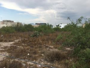 Terreno en Venta en Rancho de Peña Saltillo