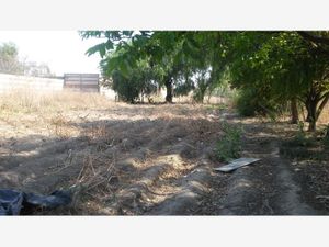 Terreno en Venta en Cholula San Pedro Cholula