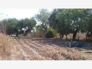 Terreno en Venta en Cholula San Pedro Cholula