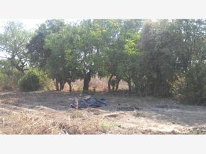 Terreno en Venta en Cholula San Pedro Cholula