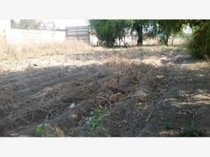 Terreno en Venta en Cholula San Pedro Cholula