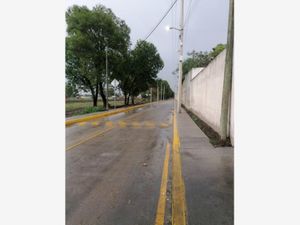 Terreno en Venta en El Moral San Martín Texmelucan