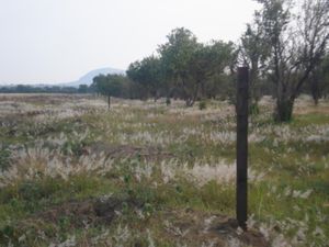 Terreno en Venta en Huejotzingo Centro Huejotzingo