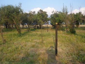 Terreno en Venta en Huejotzingo Centro Huejotzingo