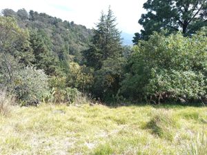 Terreno en Venta en  Ocoyoacac junto a Jajalpa, Ejido