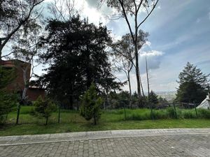 Terreno en venta en Club de Golf los Encinos