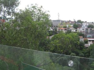 Departamento en Renta en Lomas de Chapultepec I Sección Miguel Hidalgo