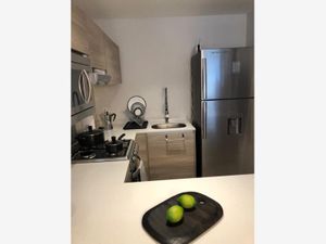 Departamento en Venta en Ampliación Granada Miguel Hidalgo