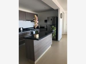 Departamento en Renta en Juriquilla Querétaro