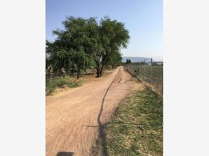 Terreno en Venta en Amazcala El Marqués