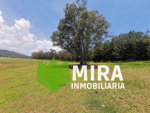 Terreno en Venta en Santiago Undameo Morelia