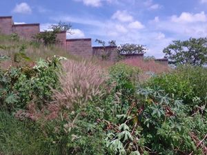 Terreno en Venta en Paseo del Parque Morelia