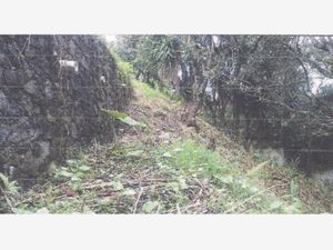 Terreno en Venta en Bellavista Xalapa