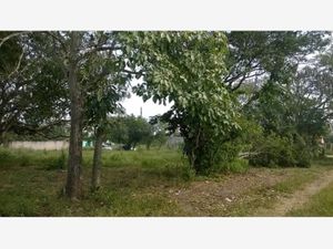 Terreno en Venta en Mata Cocuite Veracruz