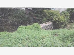 Terreno en Venta en Bellavista Xalapa