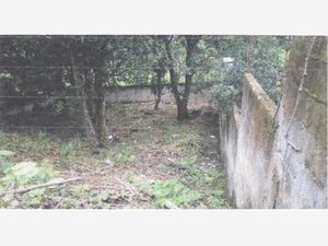 Terreno en Venta en Bellavista Xalapa