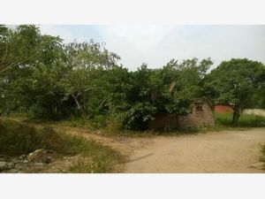 Terreno en Venta en Mata Cocuite Veracruz