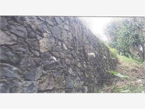 Terreno en Venta en Bellavista Xalapa