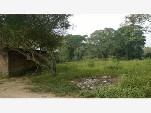 Terreno en Venta en Mata Cocuite Veracruz