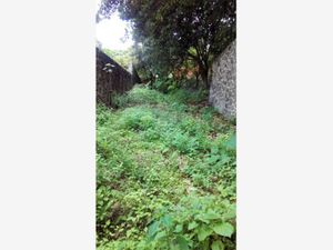 Terreno en Venta en Manantiales Cuernavaca