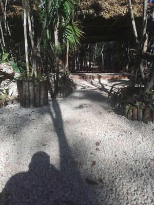 Vendo terrenos en ruta de los Cenotes. Puerto Morelos, Quintana Roo.