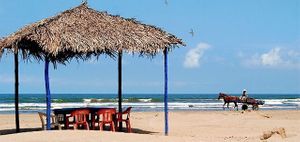 Vendo terreno con playa para inversión en Isla del Novillero, Tecuala, Nayarit.