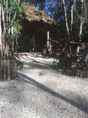 Venta de terrenos ruta de los Cenotes. Puerto Morelos, Quintana Roo. SP